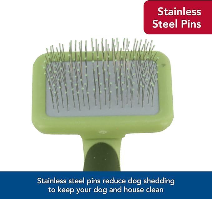 Coastal Pet Safari Dog Soft Slicker Brush - Dog Grooming Brush for Shedding - for Dogs with Short, Medium and Long Hair - Medium - 6.25" x 3.5"