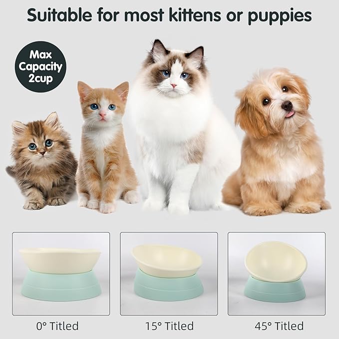 Bulldog Bowl Anti-Slip Dog Cat Dish Detachable Rubber Dog Bowl Pet Sterile Tilted Pet Feeder Slope Base (Green, 2 Cup (Small/Medium Dog))