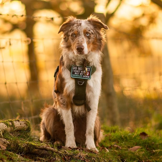 rabbitgoo Dog Harness Small Sized No Pull, Tactical Service Dog Vest with Molle and Control Handle, Adjustable and Reflective Military Pet Harness for Easy Walking and Training, Green, S