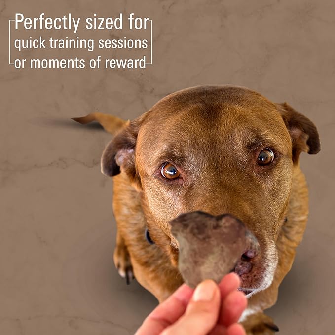 Freeze Dried Dog Treats – Single Ingredient Chicken Heart Dog Treat for Dogs & Cats