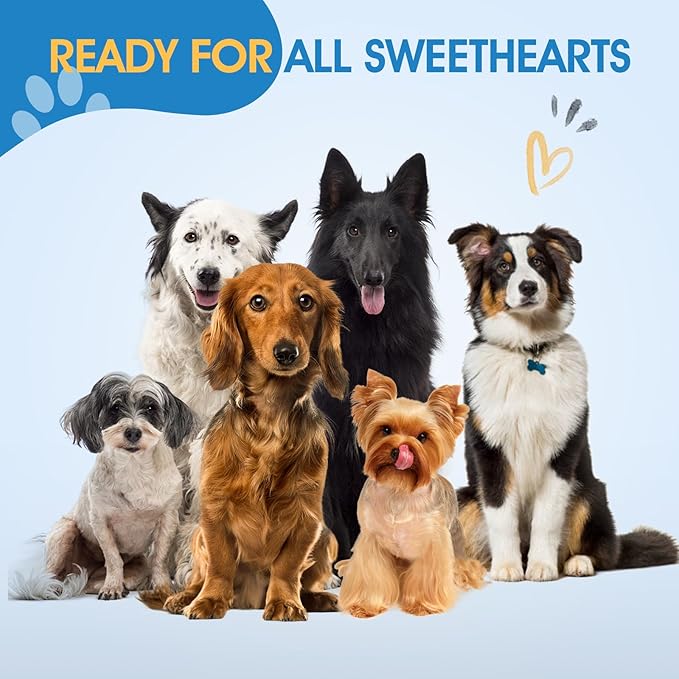 JASON Pink Dog Grooming Scissors Set - Professional 6 in 1 Dog Scissors Sharp Shears Set