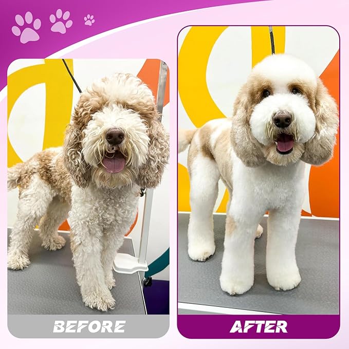 JASON Dog Grooming Scissors Set - Professional 6 in 1 Dog Shears Kit - 6.5" Thinning, 7" Straight, 7" Up-Curved, 7" Down-curved Scissors and Comb for Dog Cat Pet with Adjustable Screw (Purple)