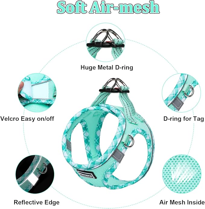 Mercano Soft Mesh Dog Harness and Leash Set, No-Chock Step-in Reflective Breathable Lightweight Easy Walk Escape Proof Vest Harnesses with Safety Buckle for Small Medium Dogs, Cats (Light Green, S)