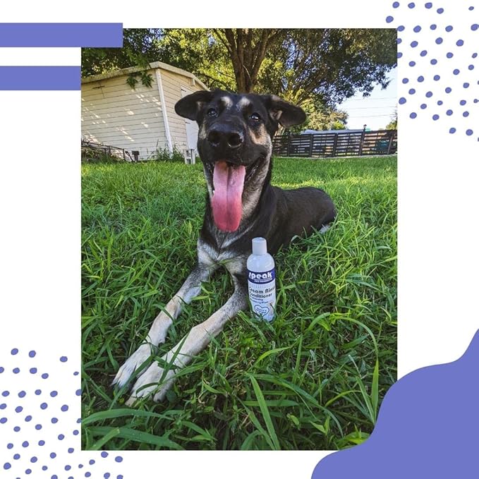 Dog Natural Cream Rinse Conditioner, Brightening Blueberry Plum, 17oz