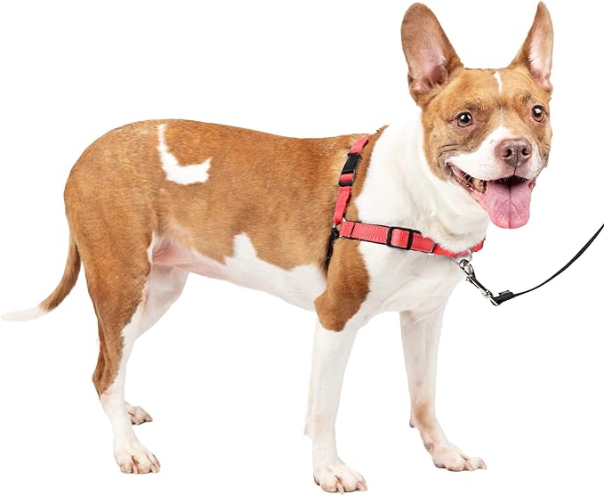 PetSafe Easy Walk Deluxe Dog Harness, No Pull Dog Harness – Perfect for Leash & Harness Training – Stops Pets from Pulling and Choking on Walks – Medium, Rose