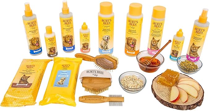 Burt's Bees for Pets Deodorizing Dog Shampoo with Apple and Rosemary, 95% Natural Origin Formulas, Dog Deodorizing Shampoo - Gentle Dog Shampoo, Best Dog Shampoo for Smelly Dogs, 16 oz