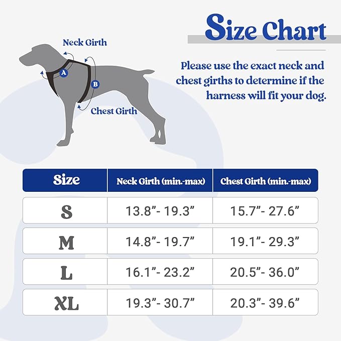 rabbitgoo Dog Harness Medium Sized Dog No Pull, Comfortable Padded Plaid Dog Harness with Handle Easy Control, Adjustable Reflective Puppy Pet Harness Vest with 2 Leash Clips, Blue Plaid, M