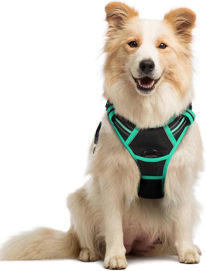 rabbitgoo Dog Harness, No-Pull Pet Harness with 2 Leash Clips, Adjustable Soft Padded Dog Vest, Reflective No-Choke Pet Oxford Vest with Easy Control Handle for Large Dogs, Black & Turquoise, M