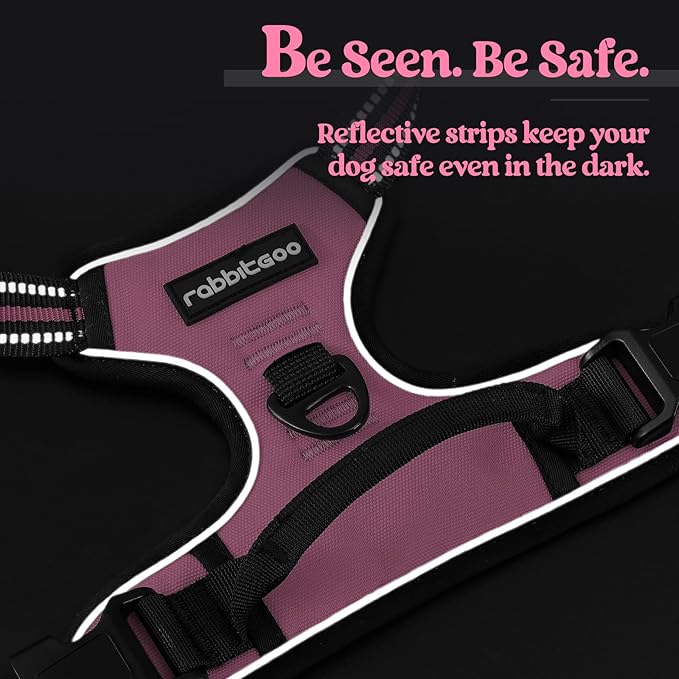 rabbitgoo Dog Harness, No-Pull Pet Harness with 2 Leash Clips, Adjustable Soft Padded Dog Vest, Reflective No-Choke Pet Oxford Vest with Easy Control Handle for Medium Dogs, Pink, M