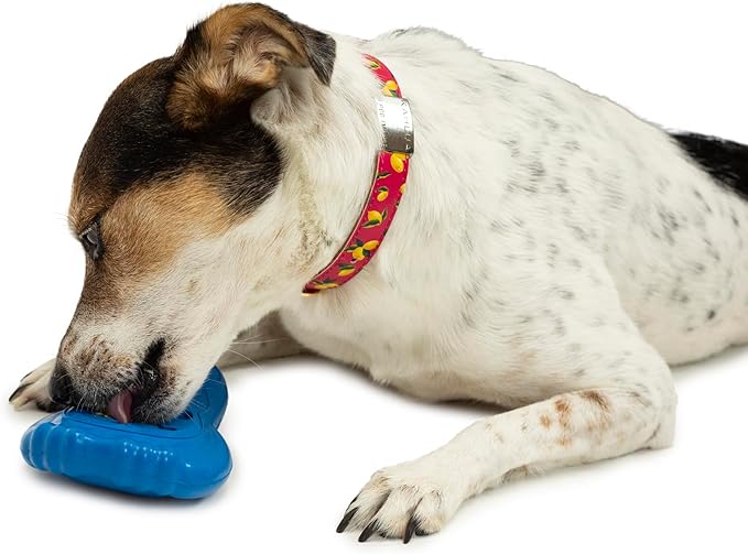 PetSafe Chilly Penguin, Freezable Dog Toy for Small Dogs, Fill and Freeze, Frozen Dog Toy to Fill with Treats, French Vanilla Scented, Interactive Pet Puzzle for Boredom or Separation Anxiety, Small