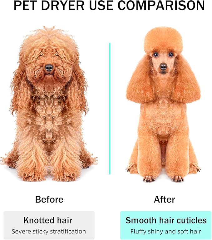 PET Marvel Dog Dryer, High Velocity Pet Blow Dryer for Grooming, Adjustable Temperature and Speed with 3 Nozzles, Professional Force Pet Hairdryer Home Travel