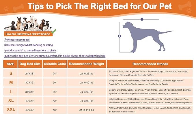 POCBLUE Deluxe Washable Dog Bed for Small Dogs Dog Crate Mat 24 inch Comfy Fluffy Kennel Pad Anti-Slip for Dogs Up to 25 lbs, 24" x 17", Grey