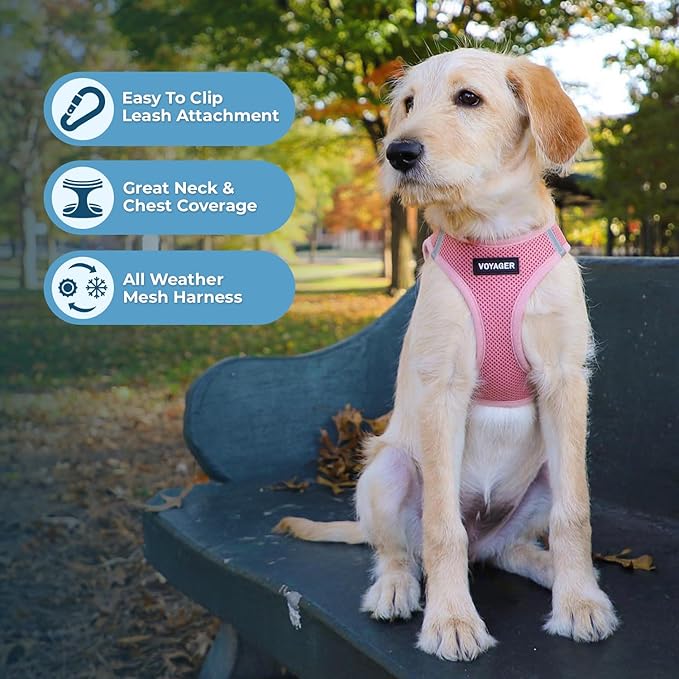 Voyager Step-in Air Dog Harness - All Weather Mesh, Reflective, No Pull Harness for Small, Medium Dogs, Cats - Secure with Hook & Loop Fastener, Buckle, Double D-Rings - Pink, XS