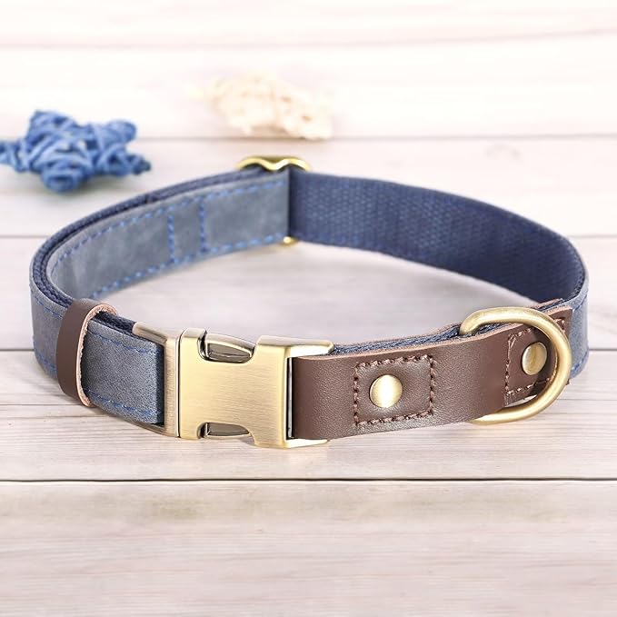 Didog Soft Padded Leather Dog Collars for Medium Dogs, Classic Heavy Duty Dog Collars with Quick Release Metal Buckle, Adjustable Medium Dog Collar Leather,Blue,M