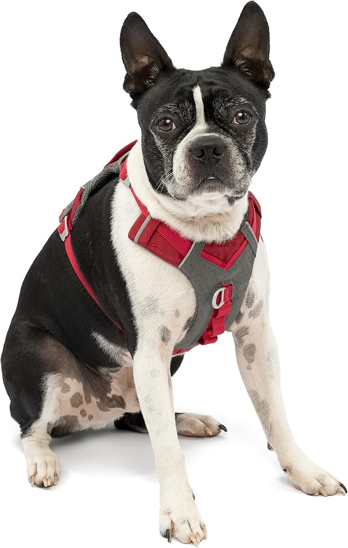 Kurgo Journey Air Dog Harness, Vest Harnesses for Dogs, Pet Hiking Harness for Running & Walking, Reflective, Padded, Includes Control Handle, No Pull Front Clip (Red, Small)