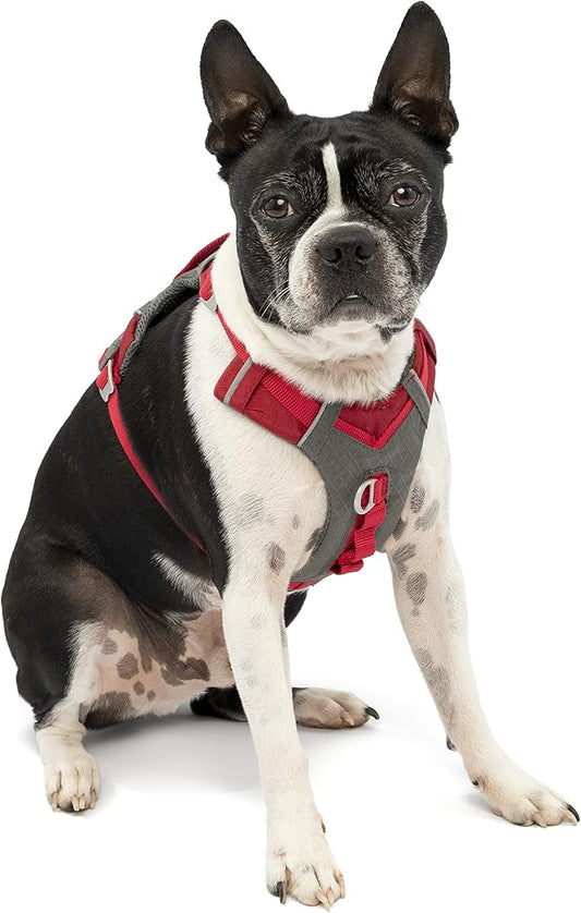 Kurgo Journey Air Dog Harness, Vest Harnesses for Dogs, Pet Hiking Harness for Running & Walking, Reflective, Padded, Includes Control Handle, No Pull Front Clip (Red, Small)