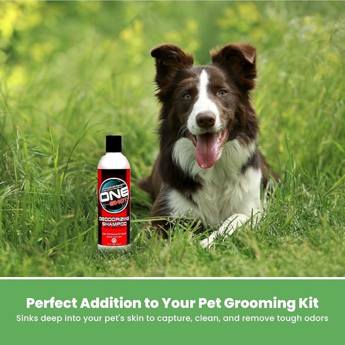 Best Shot One Shot Deodorizing Shampoo, Coat and Skincare Product for Dogs, Cats, and Horses, Eliminates Foul Odors, De-Skunk, Ready-to-Use, 16 Oz.