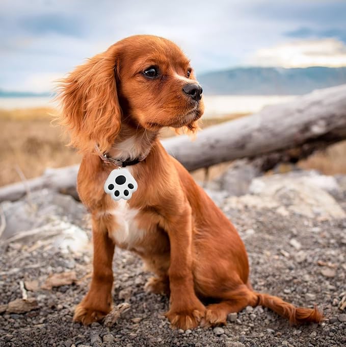 Dog Collar GPS Tracker, Paw Print Design, Multi-Color (Black)