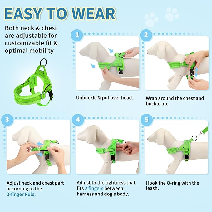 SlowTon No Pull Small Dog Harness and Leash Set, Puppy Soft Vest Harness Neck & Chest Adjustable, Reflective Lightweight Harness & Anti-Twist Pet Lead Combo for Small Medium Dogs(G,XXS)