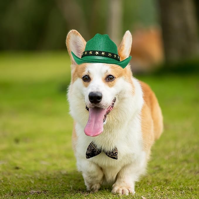 choyaxo Pet Cowboy Costume Cosplay Cap Halloween Costumes for Dogs Cat Pet Party Decoration Mini Cowboy Hat (Green, Small)