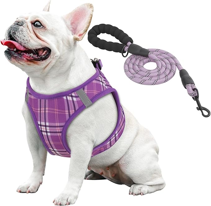 Athena Collection Step-in Dog Harness with 5 ft Leash, Medium Dog Harness Leash Set Large No Pull Dog Vest Harness with Reflective Strips Adjustable Velcro, Easy Walk Dog Harness, Purple