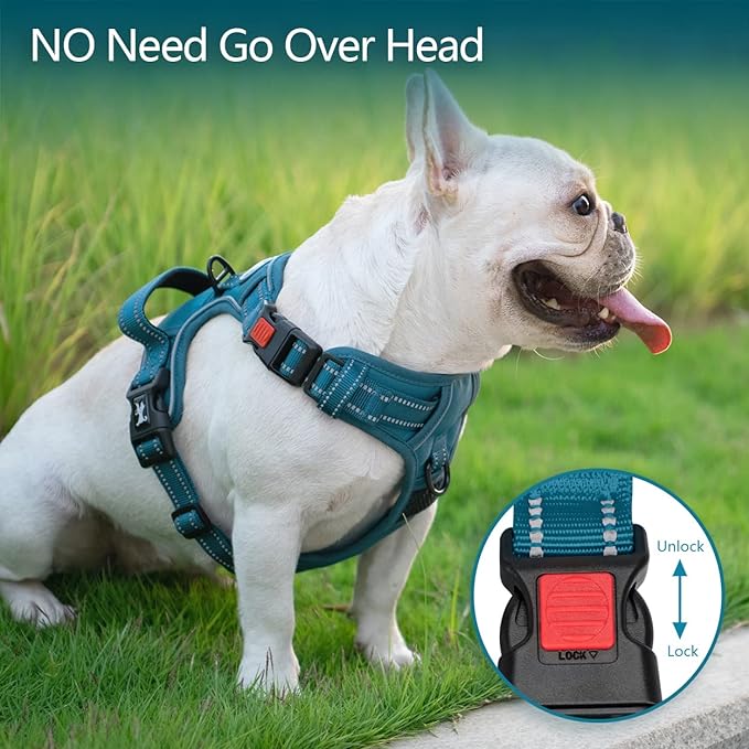 PoyPet No Pull Dog Harness, No Choke Reflective Dog Vest, Adjustable Pet Harnesses with 2 Leash Attachments with Easy Control Padded Handle for Small Medium Large Dogs(Tumalo Teal,XL)