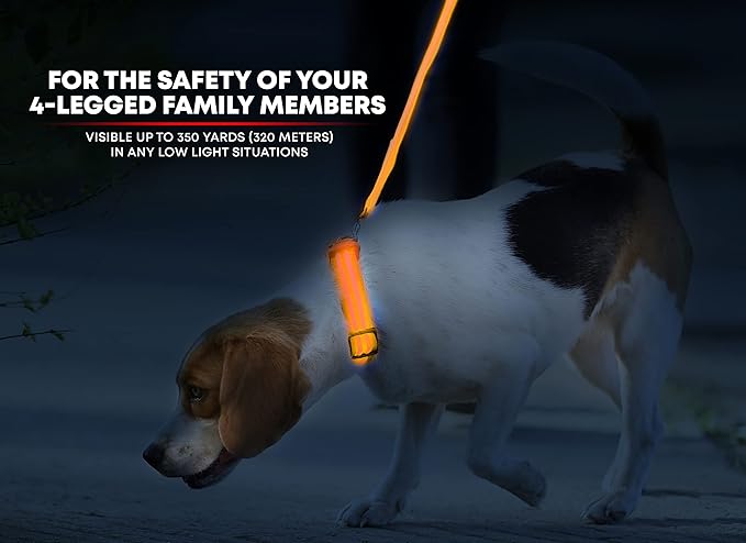 ILLUMISEEN LED Dog Collar USB Rechargeable - Bright & High Visibility Lighted Glow Collar for Pet Night Walking - Weatherproof, in 6 Colors & 6 Sizes (Orange X-Small)