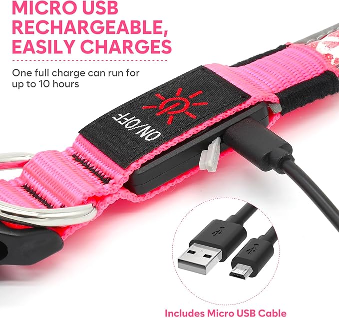 BiPawTi LED Dog Collar Rechargeable, Light Up Dog Collar 3 Light Modes Pet Safety Collar, Super Bright Glow in The Dark Dog Collar for Night Walking, Lighted Dog Collar for Large Dogs （Pink, L）