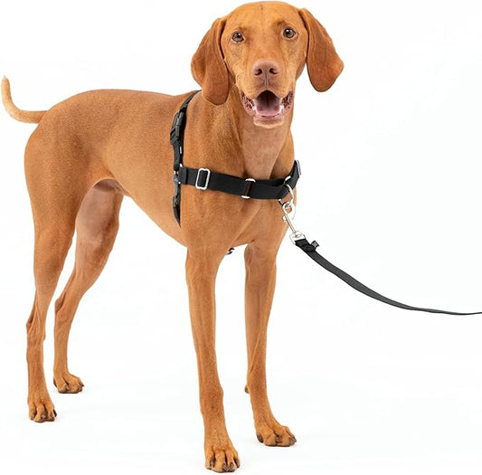 PetSafe Easy Walk No-Pull Dog Harness - The Ultimate Harness to Help Stop Pulling - Take Control & Teach Better Leash Manners - Helps Prevent Pets Pulling on Walks, Medium, Charcoal/Black