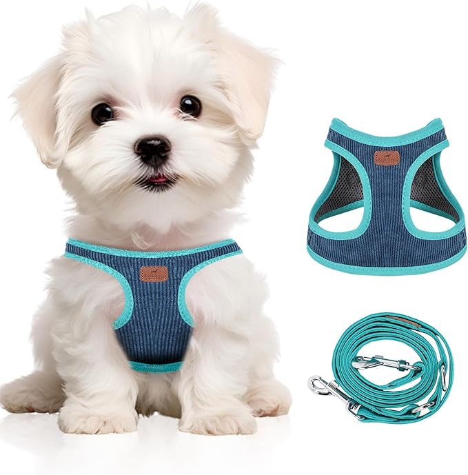 Dog Harness with Multifunction Dog Leash,No Pull Reflective Step-in Harness for Soft Adjustable No Choke Escape Proof,Easy Walk Dog Harness for Puppy,Small Dogs (Blue&Green, XS