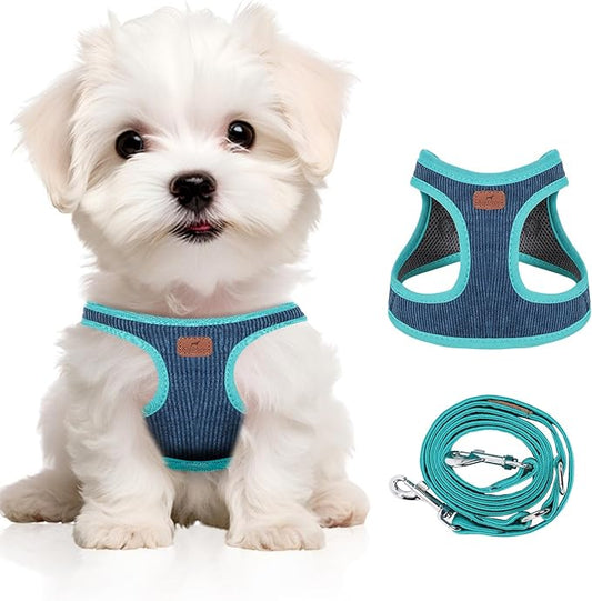 Dog Harness with Multifunction Dog Leash,No Pull Reflective Step-in Harness for Soft Adjustable No Choke Escape Proof,Easy Walk Dog Harness for Puppy,Small Dogs (Blue&Green, XS