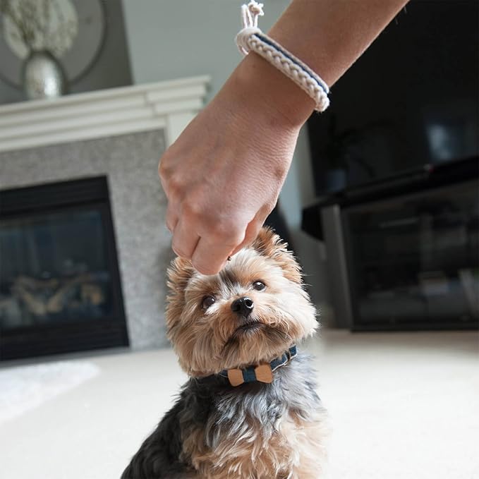 Pettsie Matching Dog Collar Bow Tie, Friendship Bracelet, Durable Hemp for Extra Safety, 3 Easy Adjustable Sizes, Comfortable and Soft for Sensitive Skin, Strong D-Ring for Leash Attachment