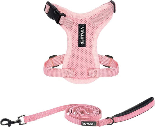Voyager Step-in Lock Adjustable Cat Harness w. Cat Leash Combo Set with Neoprene Handle 5ft - Supports Small, Medium and Large Breed Cats by Best Pet Supplies - Pink, XXS