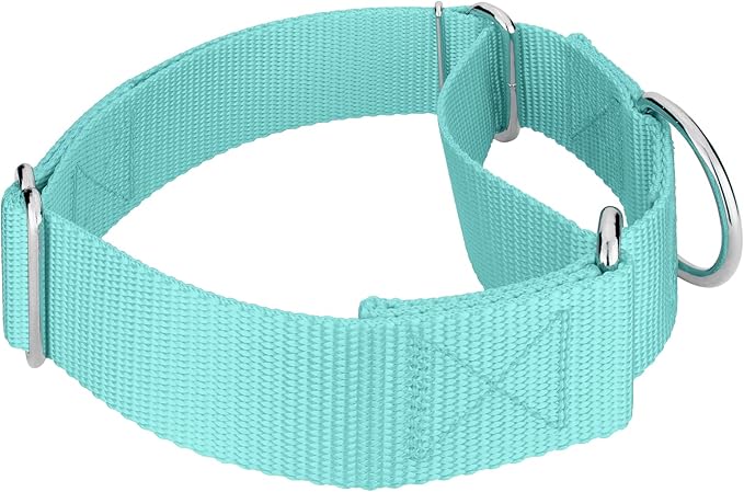 Country Brook Petz 1 1/2 Inch Martingale Heavy Duty Nylon Adjustable Dog Collar for Small, Medium, Large Breeds - Vibrant 17 Color Selection (Light Cyan, Large)