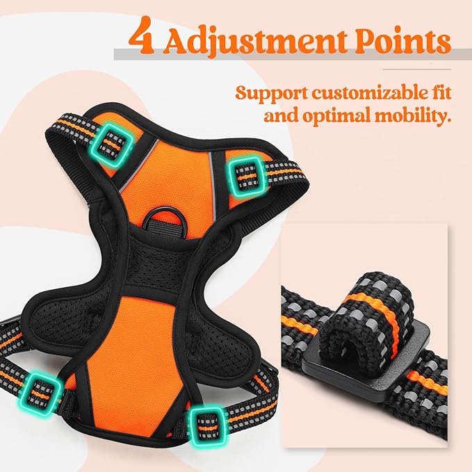 rabbitgoo Dog Harness, No-Pull Pet Harness with 2 Leash Clips, Adjustable Soft Padded Dog Vest, Reflective No-Choke Pet Oxford Vest with Easy Control Handle for Small Dogs, Orange,XS