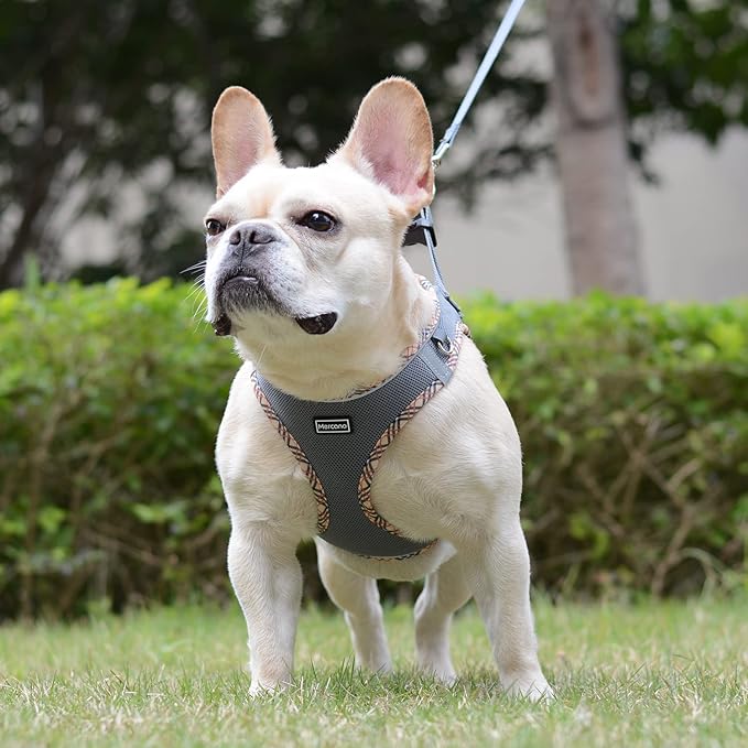 Mercano Soft Mesh Dog Harness and Leash Set, No-Chock Step-in Reflective Breathable Lightweight Easy Walk Escape Proof Vest Harnesses with Safety Buckle for Small Medium Dogs, Cats (Grey, L)