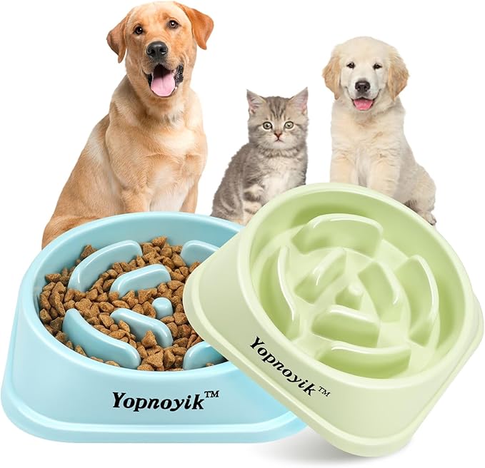 2 Pack Slow Feeder Dog Bowls for Healthy Eating, Non-Slip and Anti-Choking Design, Reduces Bloating & Overeating for Small & Medium Dogs and Cats, Easy to Clean