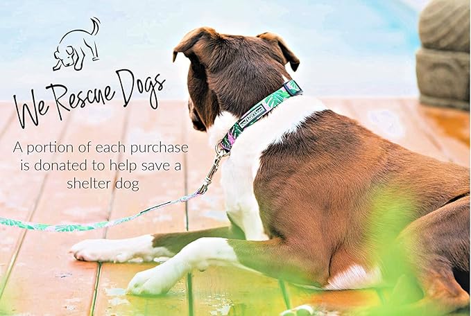 Lucky Love Dog, Tropical Matching Dog Collar & Leash Set, Soft & Comfy, Vivid Pink Color Collar and Leash for Female Male Dogs - (Small, Laguna Combo)