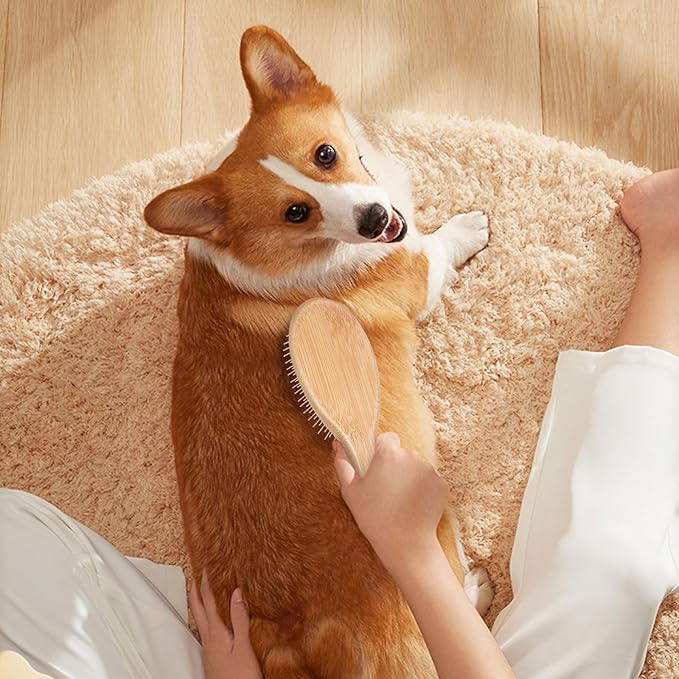 cobee Stainless Steel Pin Dog Brush, Bamboo Handle Grooming Brush 20mm Round Pins Airbag Pet Comb Professional Dog Pin Brush Fur Shedding Comb for Long or Short Hair Cat Dog