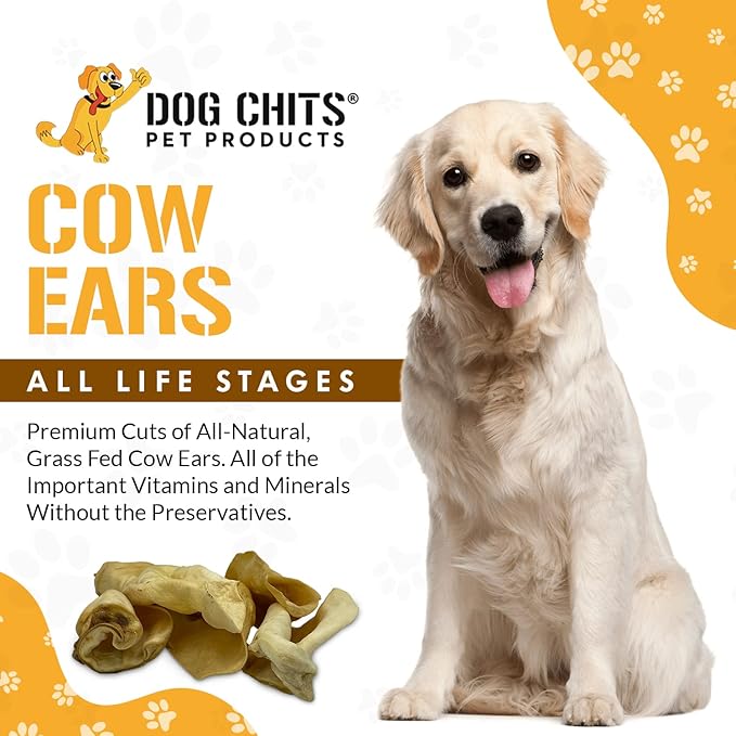 Dog Chits Cow Ears Dog and Puppy Treats - All Natural Grain and Chemical Free Training Chews - High Protein and Low Fat - Supports Dental Health - Made in The USA - 10 Count