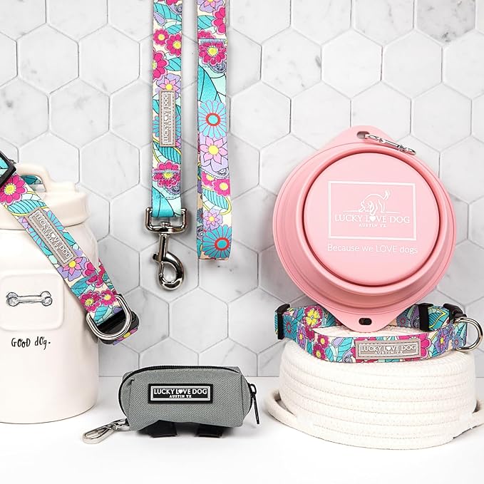 Lucky Love Dog Martingale Collar and Leash Set, Premium No Slip Martingale Collar for Dogs, Great for Whippets, Greyhounds, and More (Caroline, Medium - Combo)