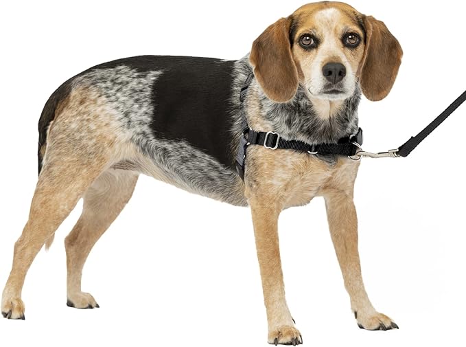 PetSafe Easy Walk No-Pull Dog Harness - The Ultimate Harness to Help Stop Pulling - Take Control & Teach Better Leash Manners - Helps Prevent Pets Pulling on Walks, Small/Medium, Charcoal/Black