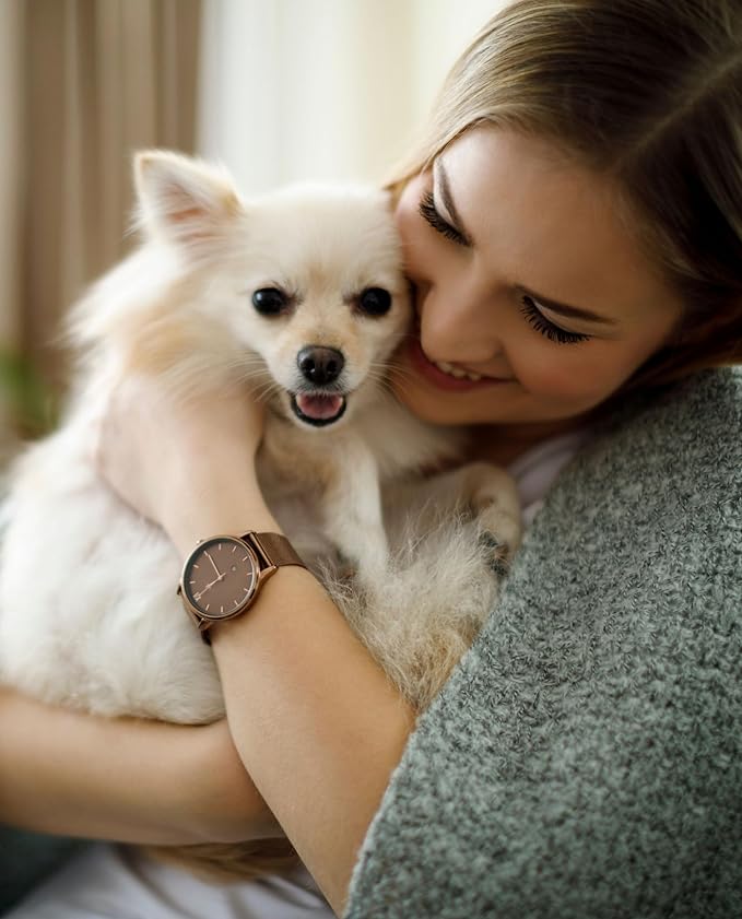 Bath & Brush Therapies® Cupcake Pet Cologne 12.5 oz. For Dogs | Long-Lasting Odor Eliminator | Paraben-Free | Biodegradable and Non-Toxic | Made in USA