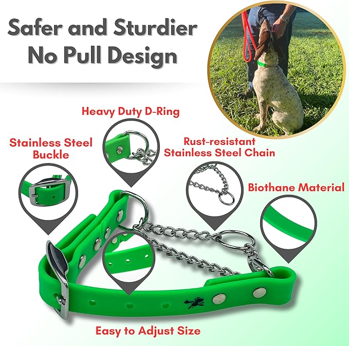 Martingale Collar for Dogs, Biothane, Stainless Steel Hardware, No Pull, Made in The USA, Professional Grade, Large, Green