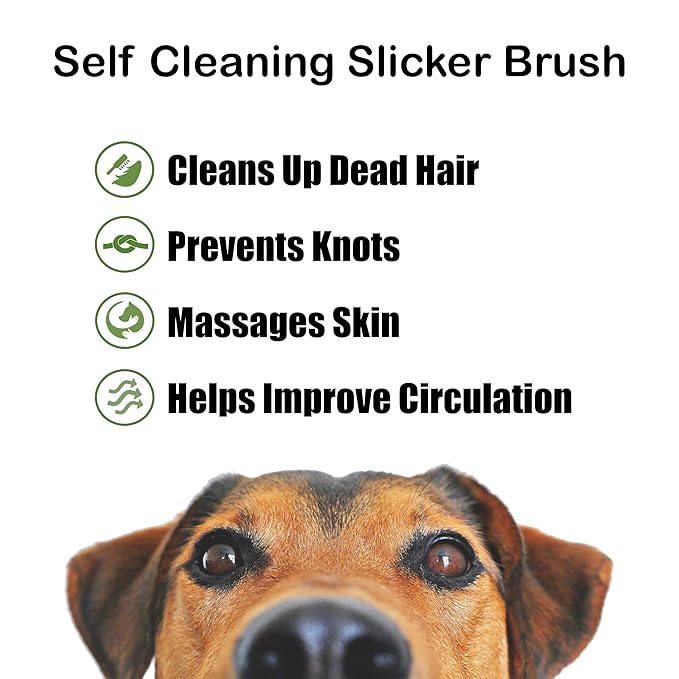 BarxBuddy Self Cleaning Slicker Brush for Dogs & Cats (Smooth & Gentle Bristles) Perfect Deshedding Tool For Long & Short Haired Dogs, Cats, Rabbits, and Other Pets Yellow