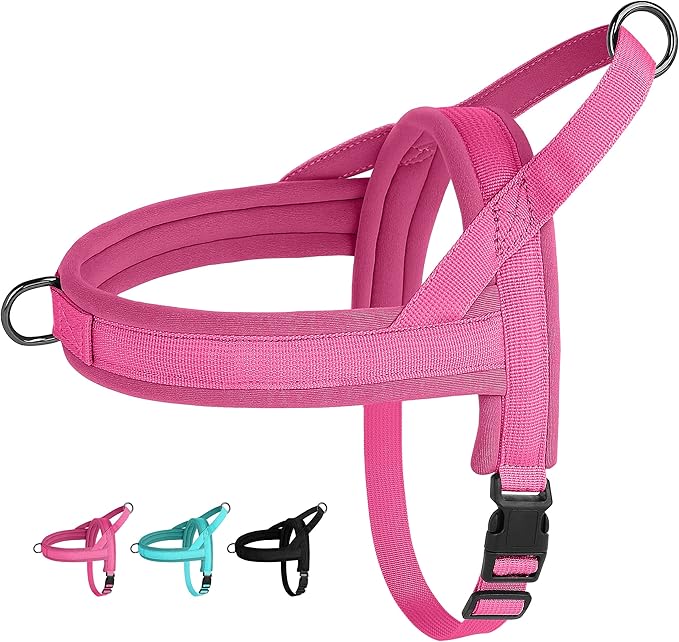 Beirui No Pull Dog Harness for Small Medium Dogs Puppies, Soft Neoprene Quick Fit Harness with Durable Front Clip & Back Clip, Lightweight Easy for Daily Walking (Hot Pink,XS)