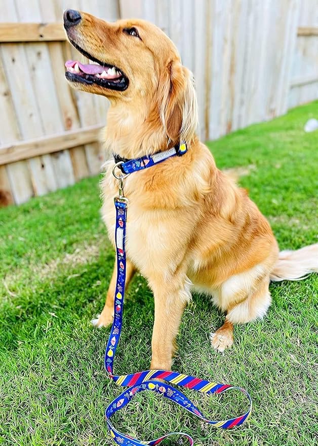 Lucky Love Dog Tropical Fish Pattern Martingale Collar and Leash Set, Summer Themed No Slip Collars for Small Dogs, Great for Whippets, Greyhounds, and More (Mackey, Small - Combo)