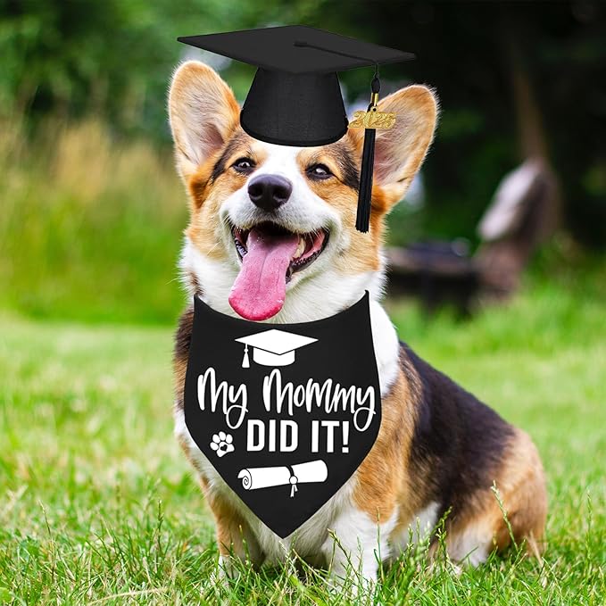 STMK Graduation Dog Cap with 2024 Tassels - Cap & My Mommy Did It Bandana for Small, Medium & Large Dogs (Black)