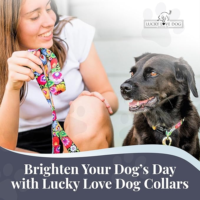 Lucky Love Dog - Adjustable Dog Collar with Easy Click Buckle for Small to Large Dogs, Durable, & Comfortable Collar for Male & Female Dogs, Pet Collar for Puppies & Adult Dogs - Blackbird, Large