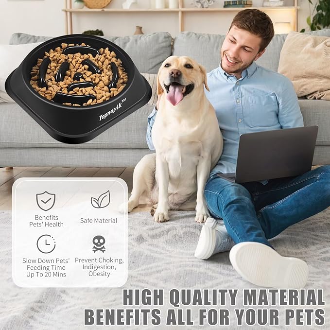 Slow Feeder Dog Bowls for Healthy Eating, Non-Slip and Anti-Choking Design, Reduces Bloating & Overeating for Small & Medium Dogs and Cats, Easy to Clean
